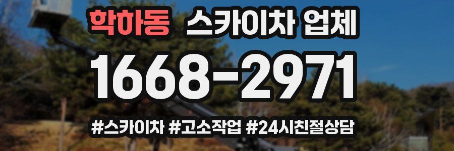 학하동 스카이차 업체