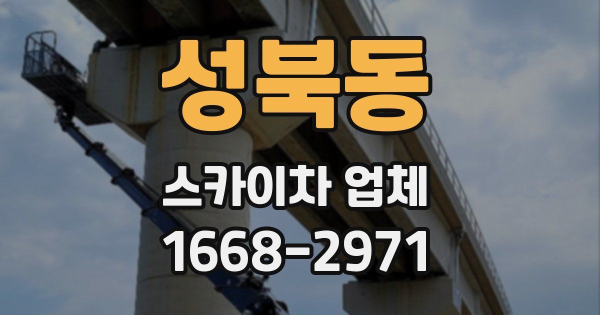 성북동 스카이차 업체