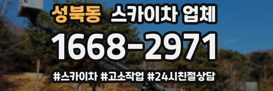 성북동 스카이차 업체