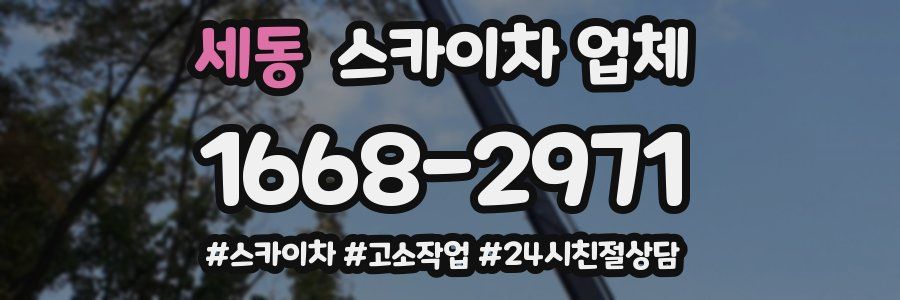 세동 스카이차 업체