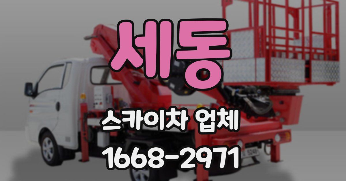 세동 스카이차 업체