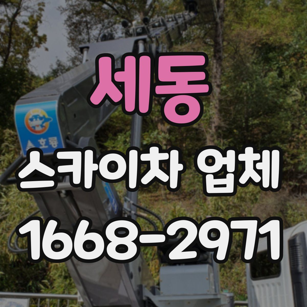 세동 스카이차 업체