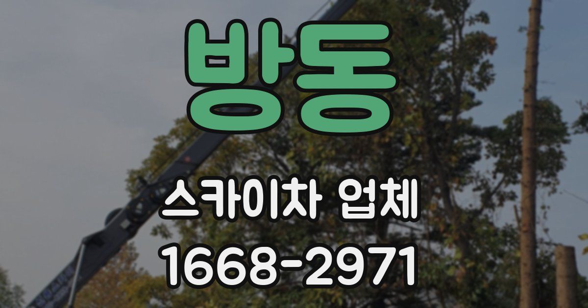 방동 스카이차 업체