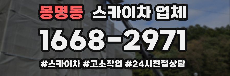 봉명동 스카이차 업체