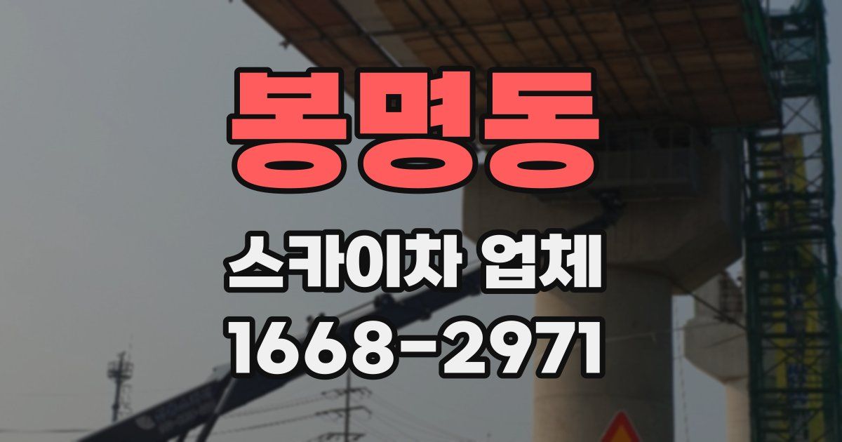 봉명동 스카이차 업체