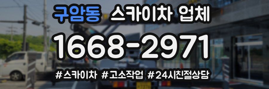 구암동 스카이차 업체