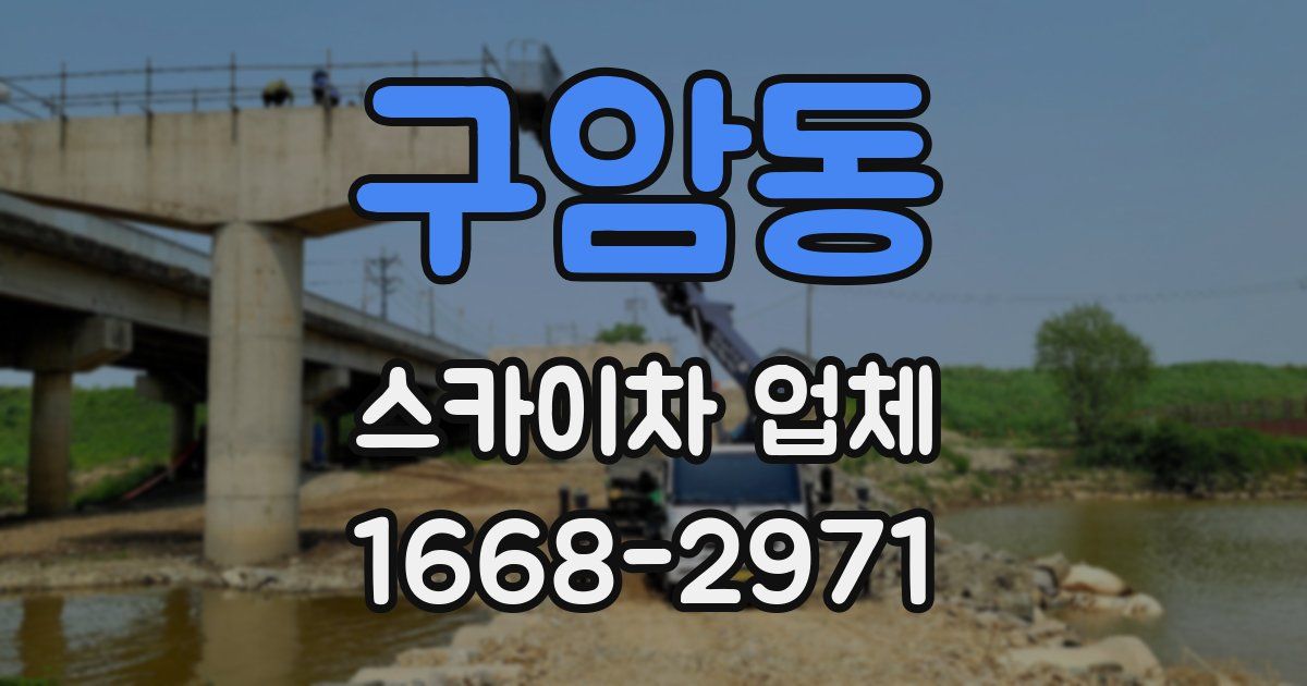 구암동 스카이차 업체
