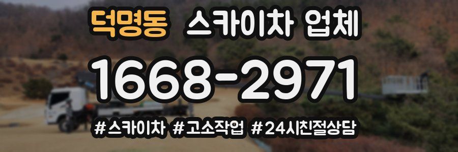 덕명동 스카이차 업체