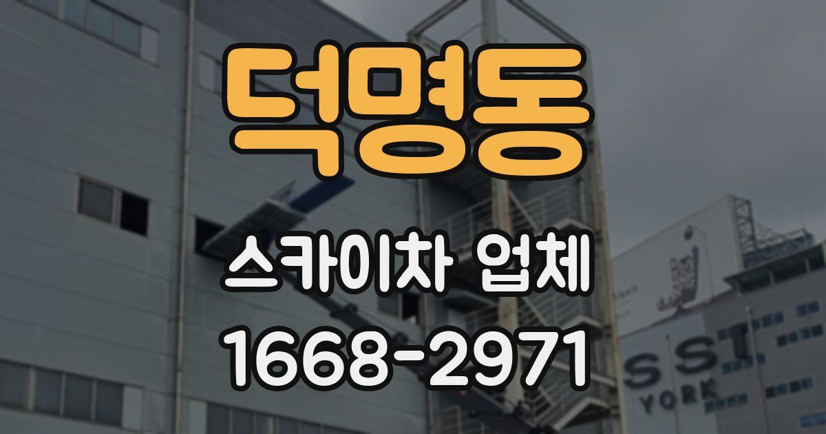 덕명동 스카이차 업체