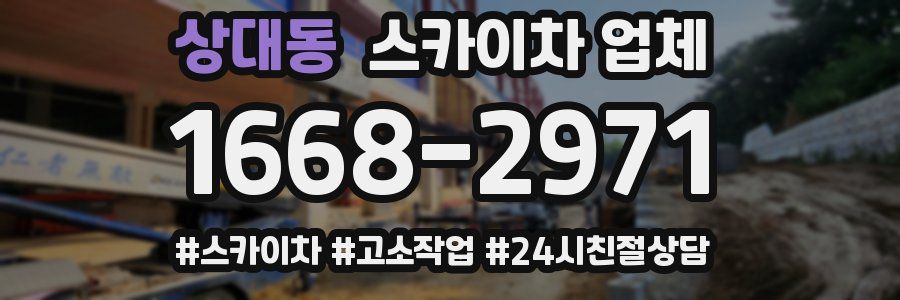 상대동 스카이차 업체