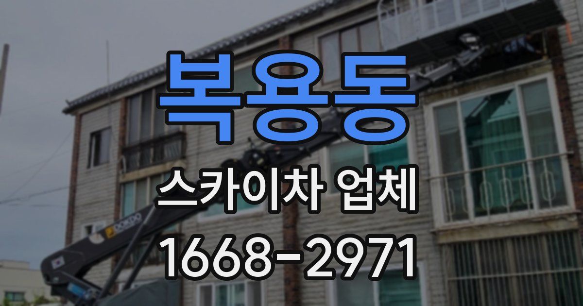 복용동 스카이차 업체