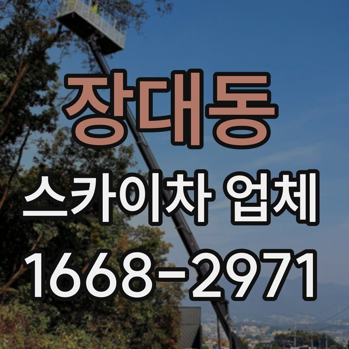 장대동 스카이차 업체