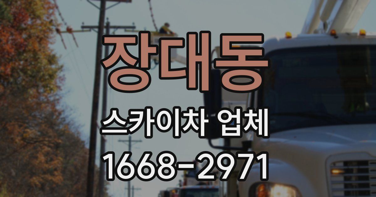 장대동 스카이차 업체