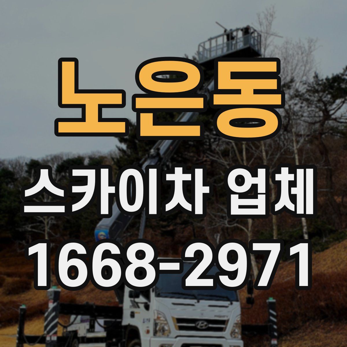 노은동 스카이차 업체