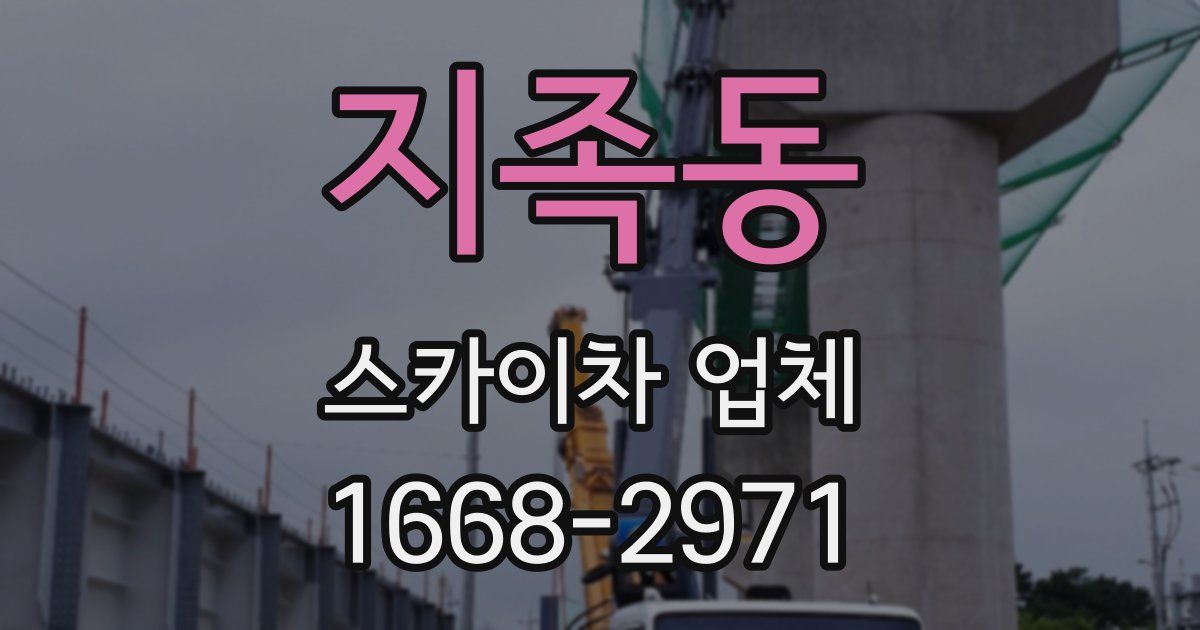 지족동 스카이차 업체