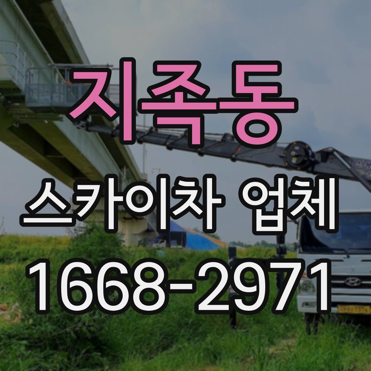 지족동 스카이차 업체