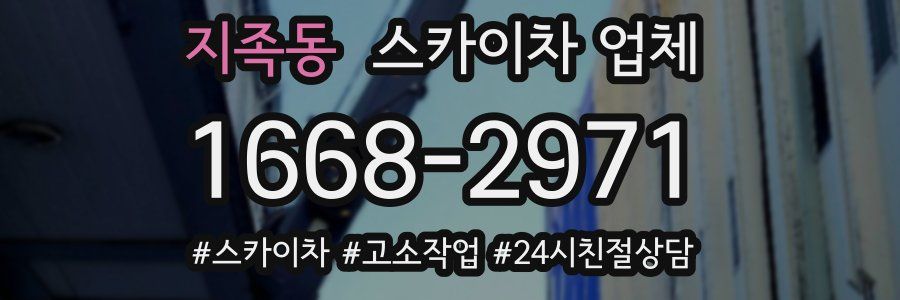 지족동 스카이차 업체