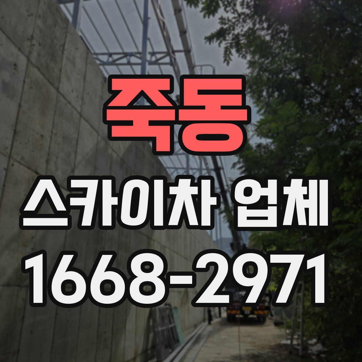 죽동 스카이차 업체