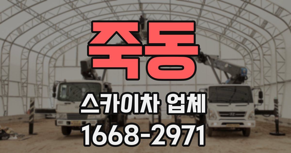 죽동 스카이차 업체
