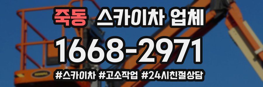 죽동 스카이차 업체