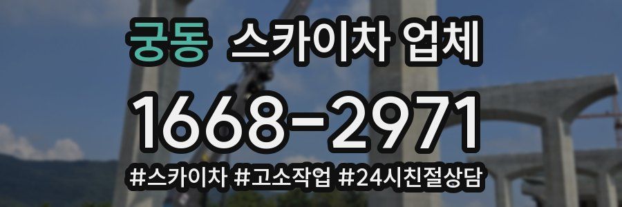 궁동 스카이차 업체