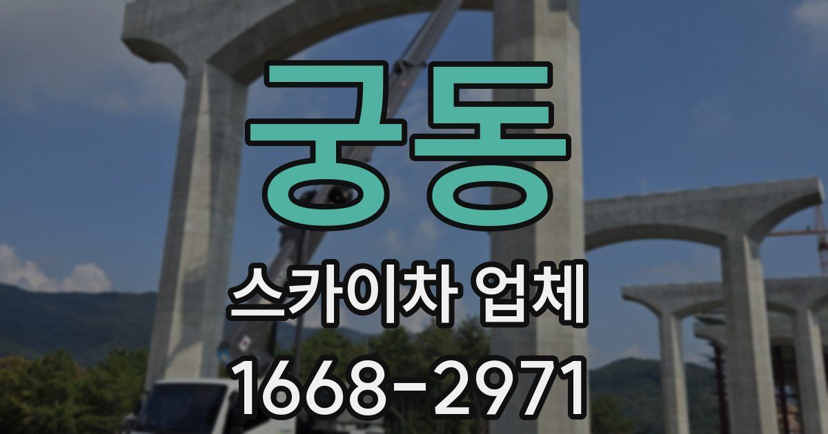 궁동 스카이차 업체
