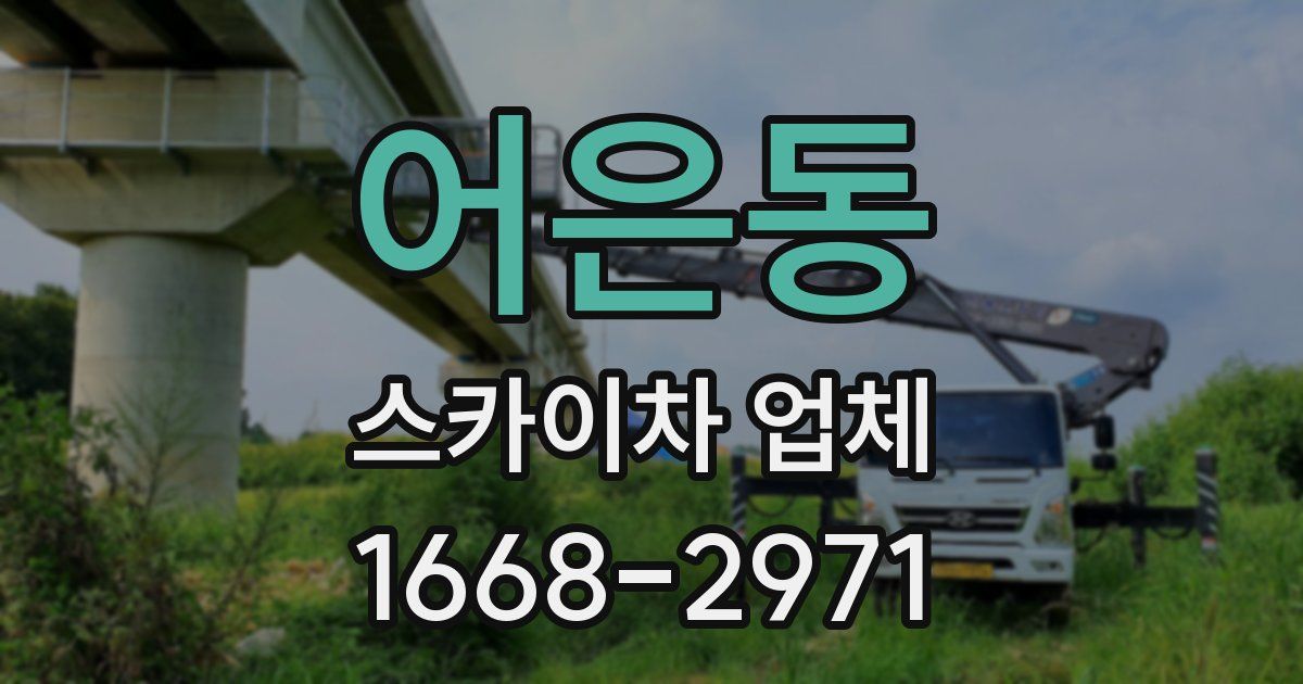 어은동 스카이차 업체