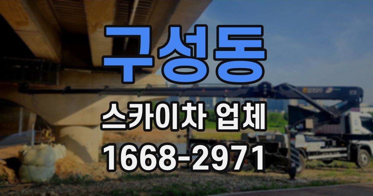 구성동 스카이차 업체