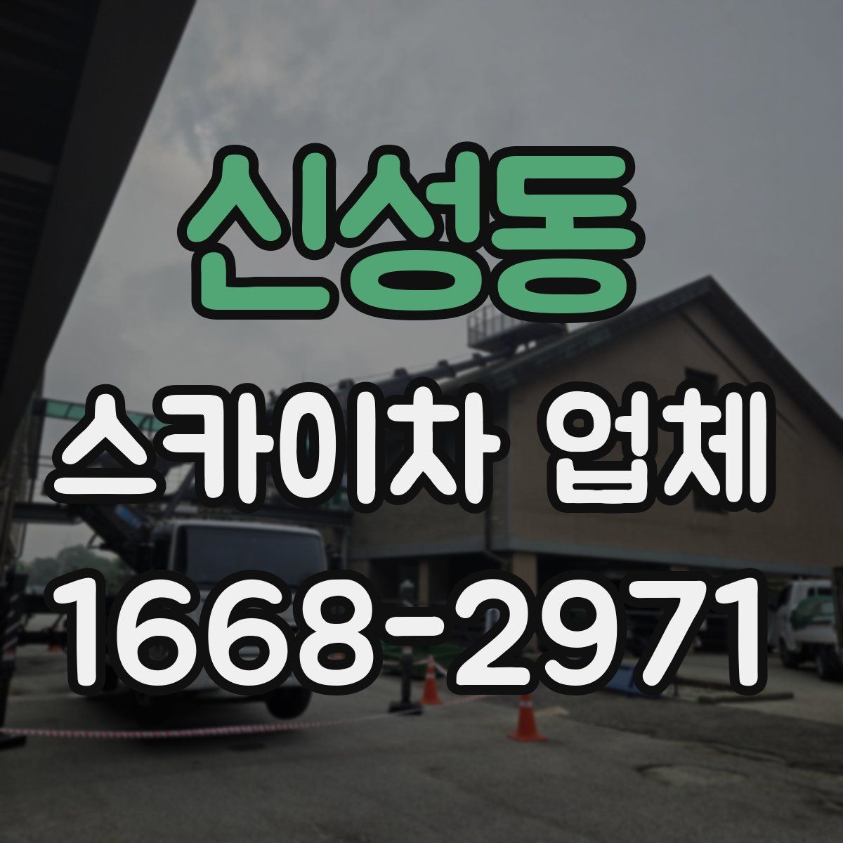 신성동 스카이차 업체