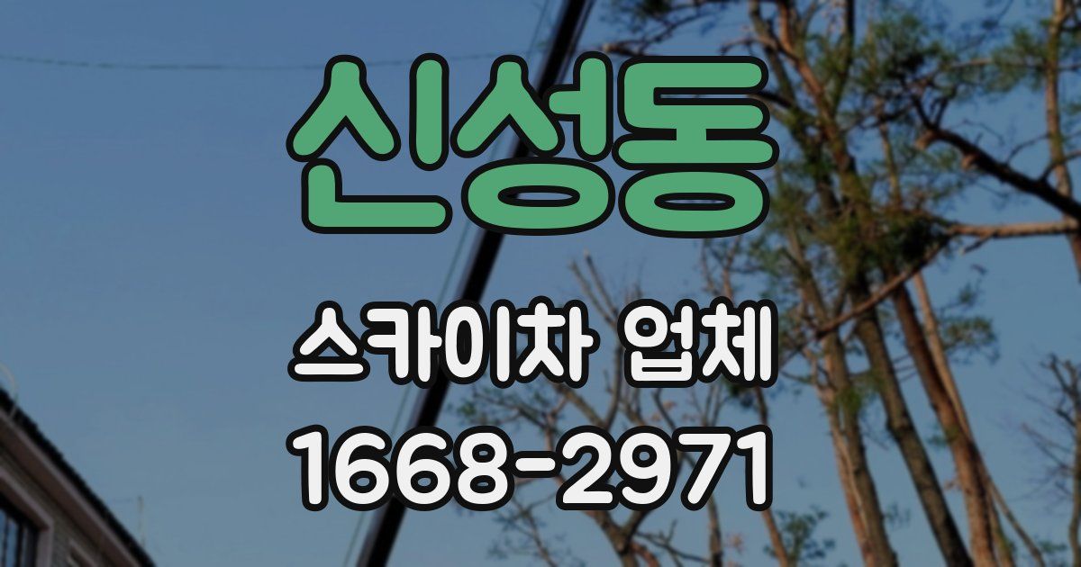 신성동 스카이차 업체