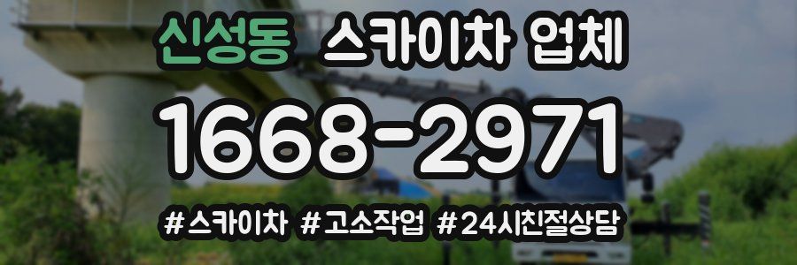 신성동 스카이차 업체