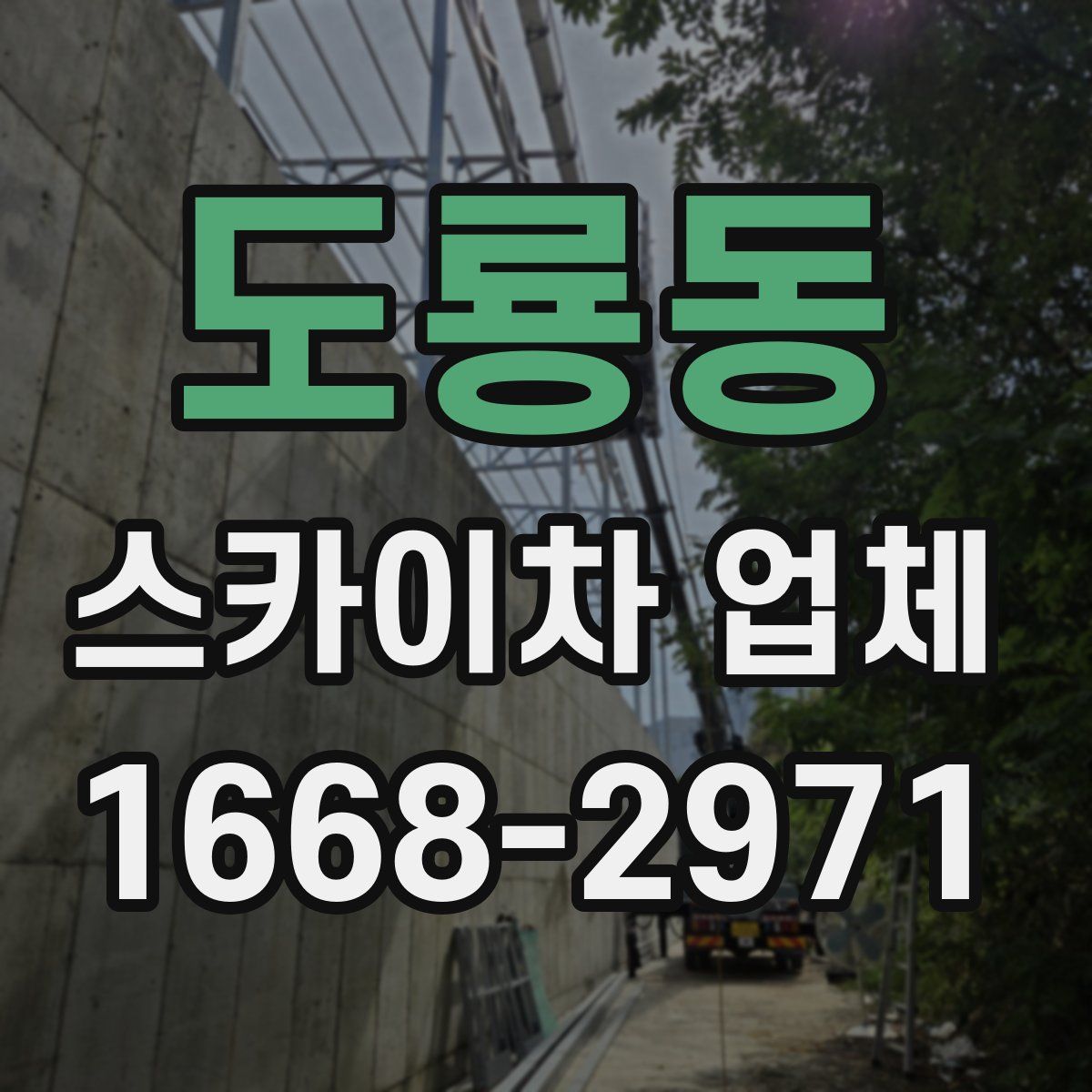 도룡동 스카이차 업체