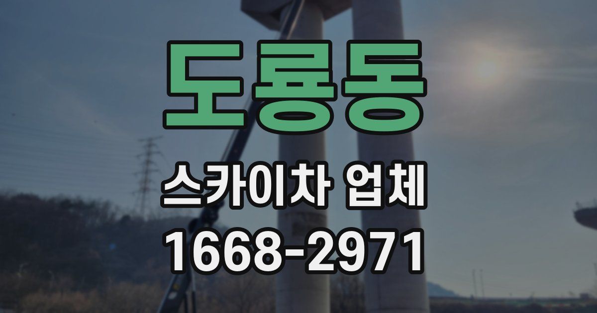 도룡동 스카이차 업체