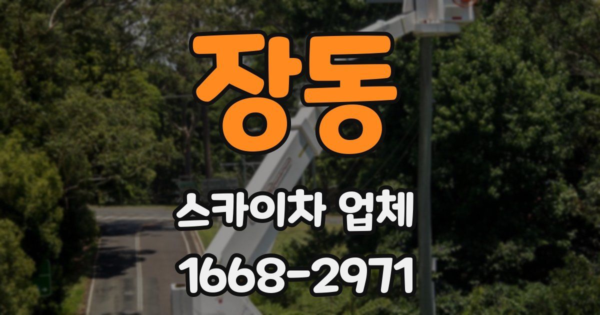 장동 스카이차 업체