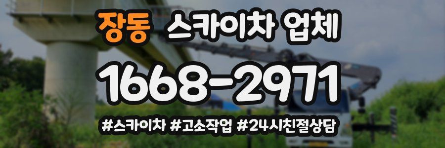 장동 스카이차 업체