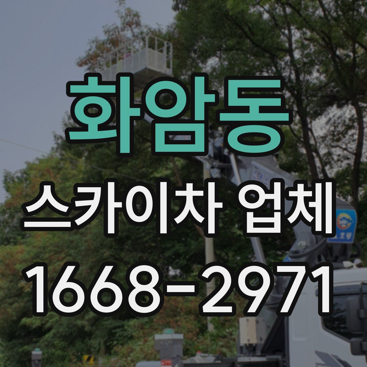 화암동 스카이차 업체
