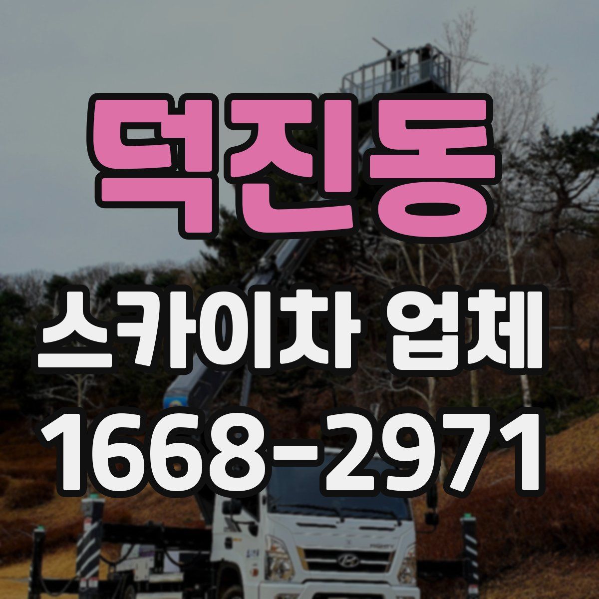 덕진동 스카이차 업체