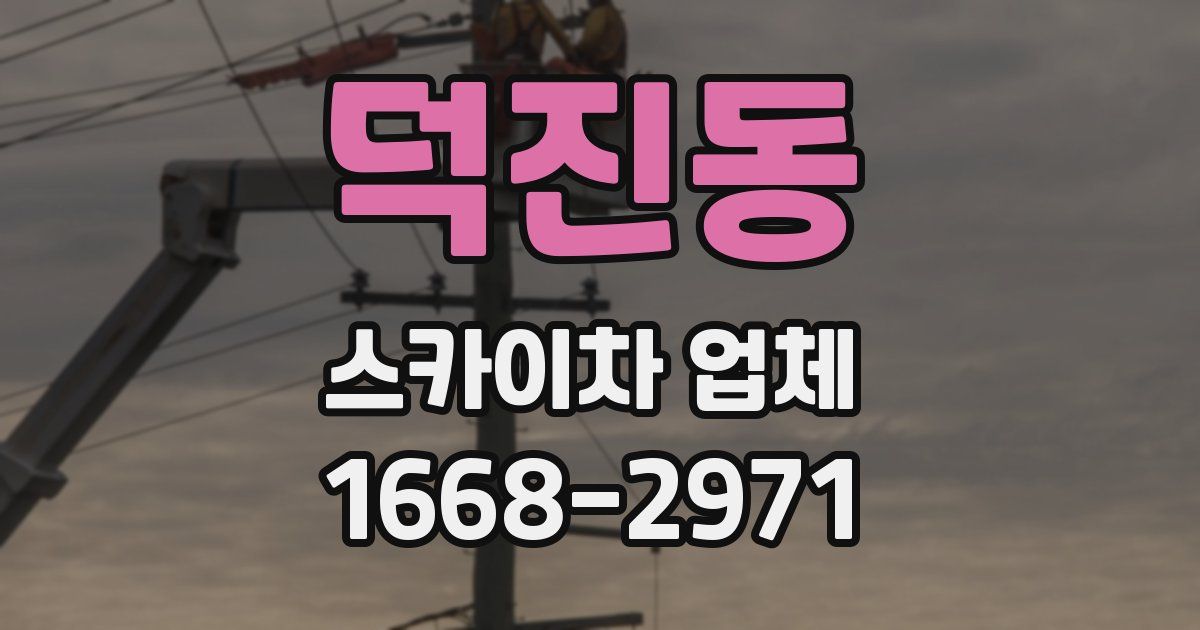 덕진동 스카이차 업체