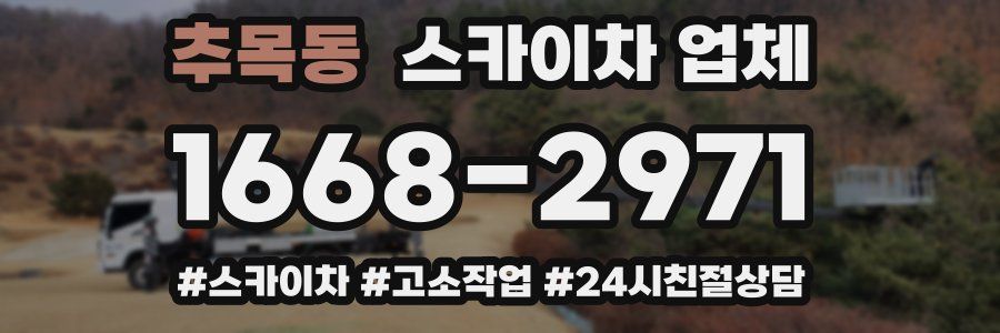 추목동 스카이차 업체