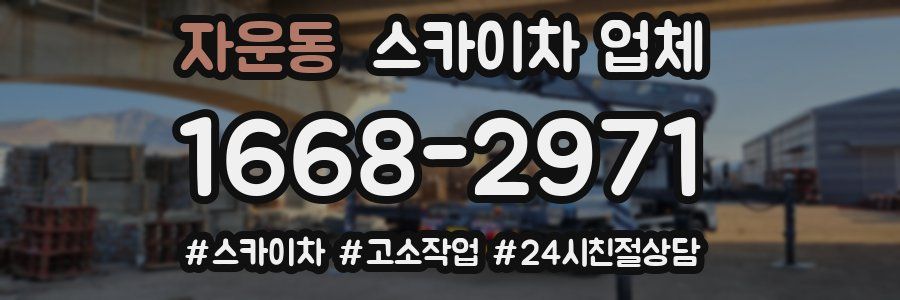 자운동 스카이차 업체