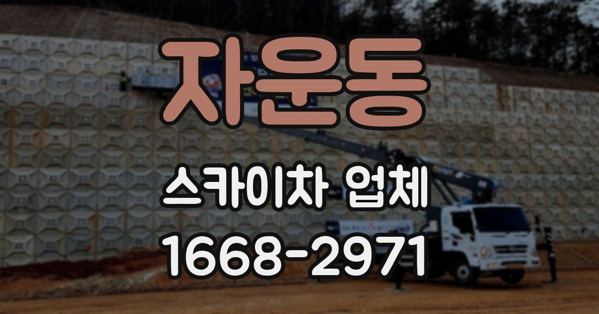 자운동 스카이차 업체