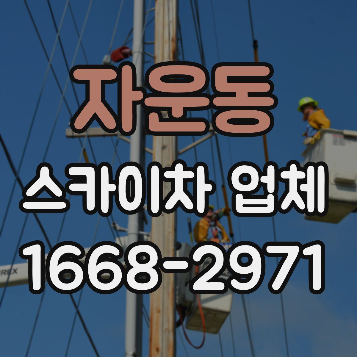 자운동 스카이차 업체