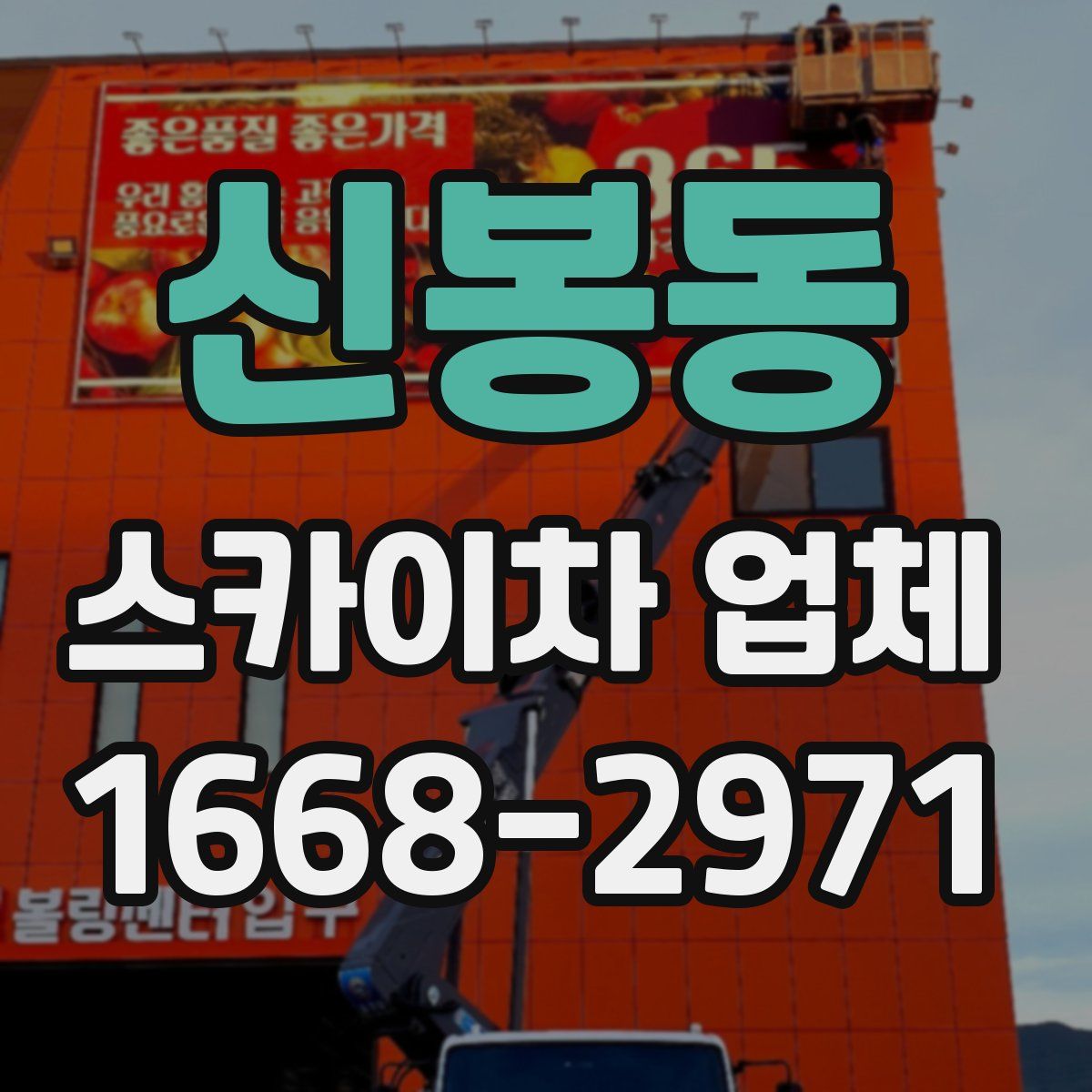 신봉동 스카이차 업체