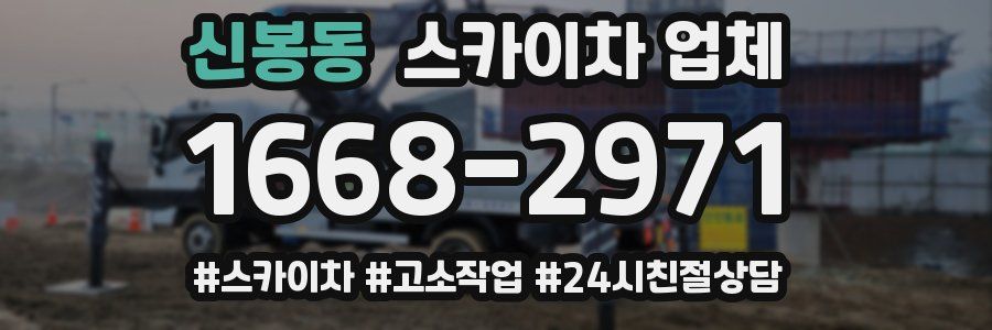 신봉동 스카이차 업체