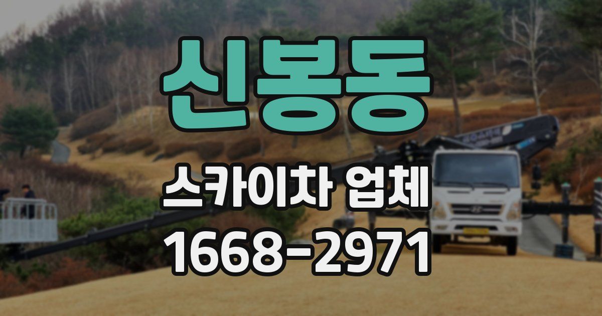 신봉동 스카이차 업체