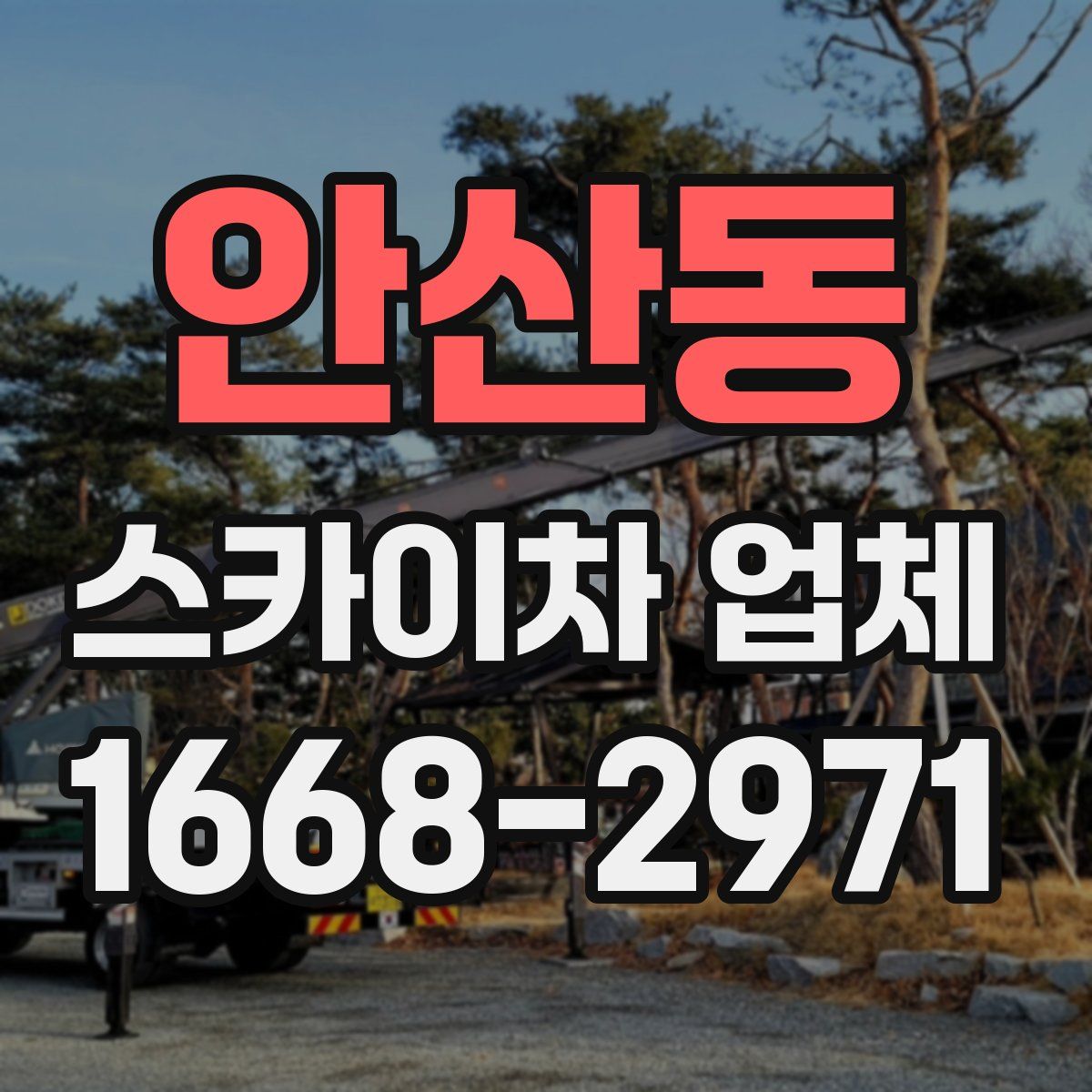 안산동 스카이차 업체