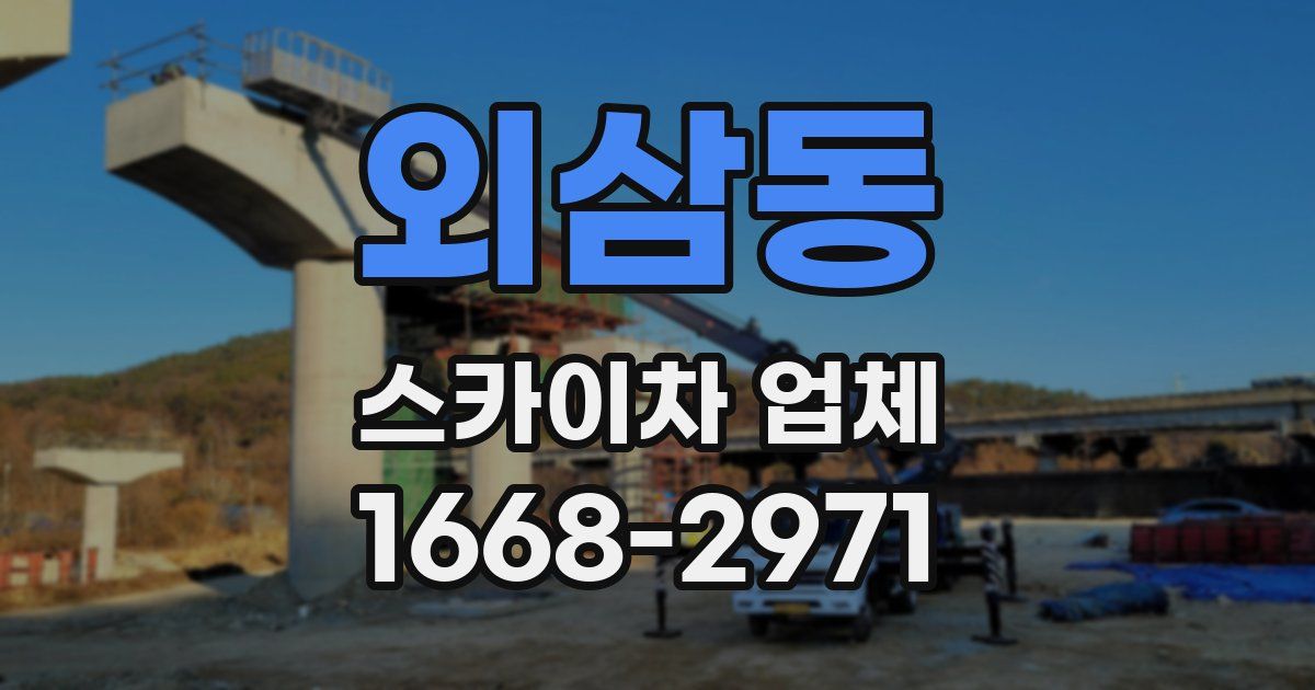 외삼동 스카이차 업체