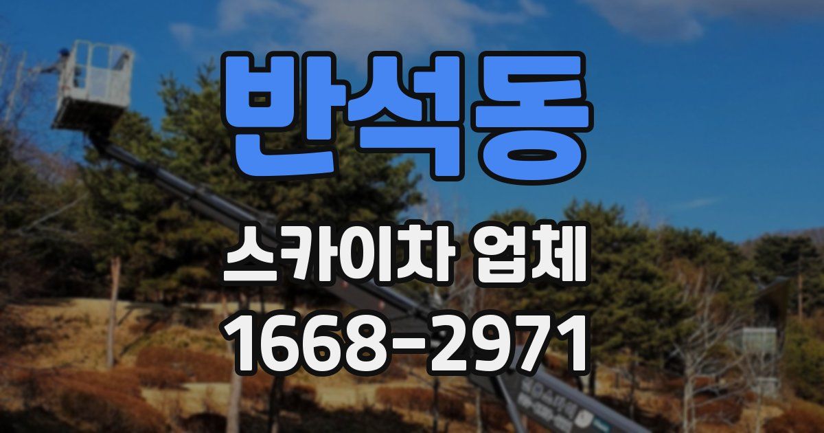 반석동 스카이차 업체