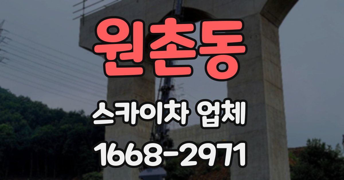 원촌동 스카이차 업체