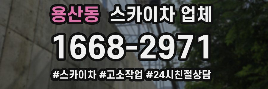 용산동 스카이차 업체